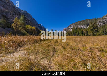 Boucle dans la prairie Zumwalt Cedar Grove domaine de Kings Canyon National Park, California, USA Banque D'Images