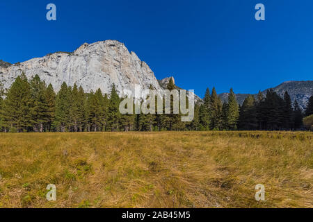 Meadow Zumwalt Boucle avec vue sur le dôme du nord dans la région de Cedar Grove Kings Canyon National Park, California, USA Banque D'Images