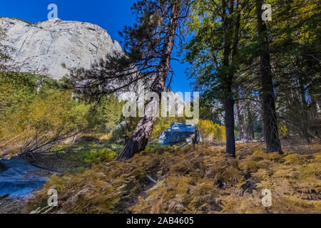 Voir le long du sentier dans la prairie Zumwalt Cedar Grove avec North Dome, lointain au Kings Canyon National Park, California, USA Banque D'Images