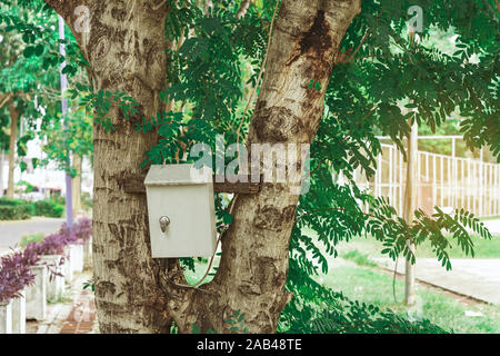 Le contrôle de l'alimentation électrique Old rusty fort sur l'arbre dans le parc public. Banque D'Images