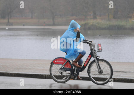 Londres, Royaume-Uni. 25Th Nov, 2019. temps humide dans Hyde Park Crédit : JOHNNY ARMSTEAD/Alamy Live News Banque D'Images