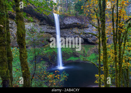 Silver Falls State Park est le lieu idéal à visiter à l'automne si vous aimez la combinaison de cascades et de couleurs d'automne. Prendre le sentier de l'automne '10 Banque D'Images