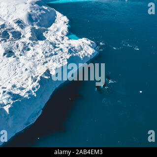 3 baleines à bosse près de plongée parmi les icebergs d'Ilulissat. Leur source est par le glacier Jakobshavn. La source d'icebergs est un réchauffement global et Banque D'Images