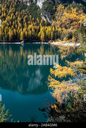 Automne lac alpin paisible ou Braies Pragser Wildsee. Parc national de Fanes-Sennes-Prags, Dolomites Tyrol du Sud, Alpes, Italie, Europe. Trave pittoresque Banque D'Images