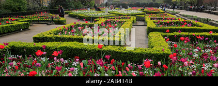 Fleurs de Holland Park, le Royal Borough de Kensington et Chelsea, Londres, Angleterre Banque D'Images