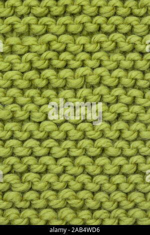 Fil de laine mérinos tricot cavalier vert, avec libre d'un point de tricot Banque D'Images