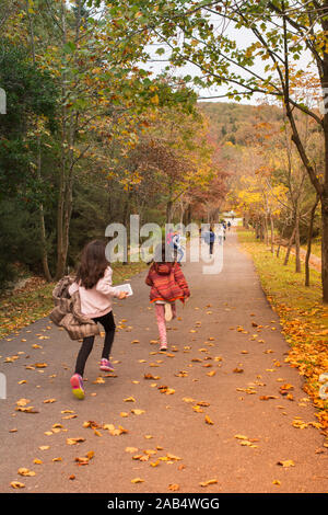 Enfants en train de courir sur une route avec des feuilles jaunes en automne Banque D'Images