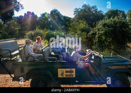 Véhicule voiture Safari avec les touristes en Mala Mala Game Reserve Sabi Sand Park Kruger, Afrique du Sud Afrique du Sud Banque D'Images