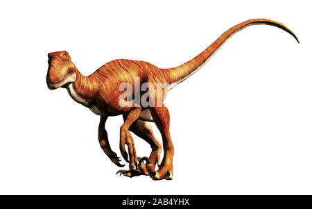 C'est un théropode Deinonychus, un cousin de velociraptor, qui vivait pendant le Crétacé. Ici représenté avec pas de plumes sur un fond blanc. Banque D'Images