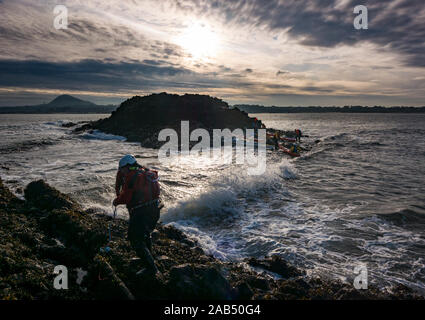 Club de kayak de mer de Lothian kayakistes fixer corde de sécurité à la terre sur un rivage rocailleux, Lamb Island, Firth of Forth, Ecosse, Royaume-Uni Banque D'Images