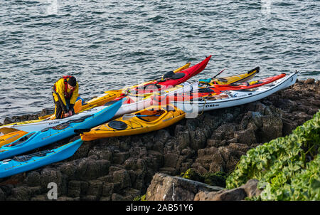 Les clubs de kayak de mer de Lothian de kayaks de mer sur la côte rocheuse, à l'atterrissage de l'île d'agneau, Firth of Forth, Ecosse, Royaume-Uni Banque D'Images