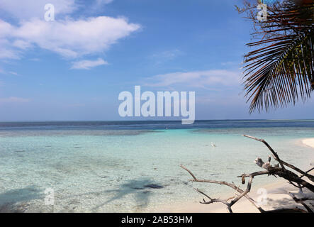 Palmiers, plage et mer dans les Maldives Biyadhoo Island Banque D'Images