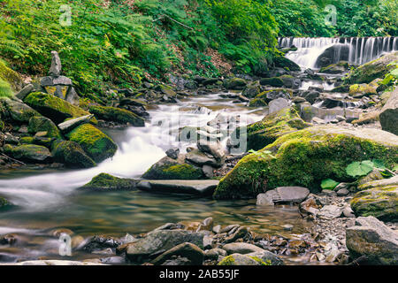 Tahquamenon falls, au Michigan, des rapides, des cascades cascades Rapids, Michigan, forêts denses, paysage, Upper Peninsula Banque D'Images