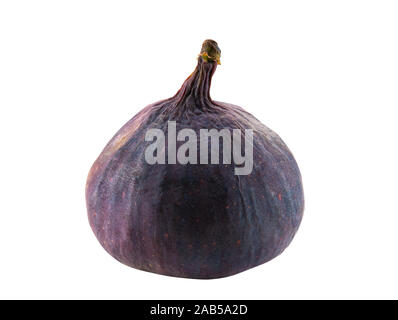 Purple fig isolé sur blanc avec espace pour copier du texte ou des images. Doux, doux fruit, peau très mince, a de nombreuses petites graines à l'intérieur de celui-ci. Close-up. Banque D'Images