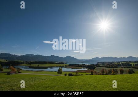 L'Allgäu dans Forggensee avec vue vers Füssen, souabe, Bavière, Allemagne, Europe Banque D'Images