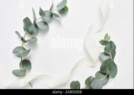 Des feuilles d'eucalyptus et des hachures sur fond blanc. Couronne faite de branches de feuilles. Mise à plat, vue supérieure avec place pour votre texte Banque D'Images