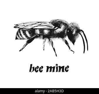 Be mine Valentine card, vecteur de couleur de l'abeille l'illustration dans le style gravure isolé sur fond blanc Illustration de Vecteur