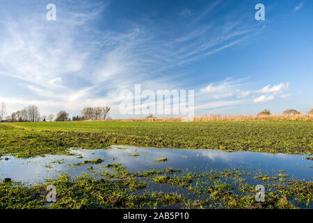 Terrain inondé, horizon et nuages dans le ciel Banque D'Images