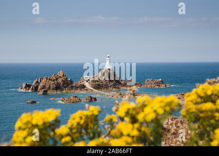 Grâce à la pointe de jaune à la colza La Corbiere lighthouse, Jersey, Channel Islands Banque D'Images