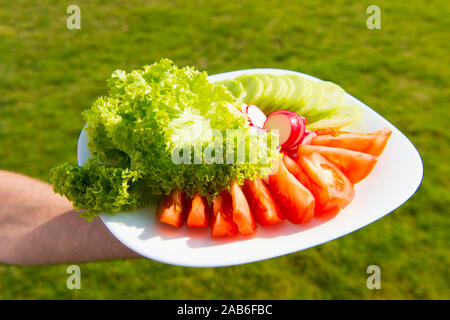 Fournir des avantages pour la santé. Restaurant végétarien. La nourriture végétarienne. Assiette de légumes frais mélangé avec les verts. Des plats végétariens ou à la viande. Végétalien sain ou plat végétarien. Banque D'Images