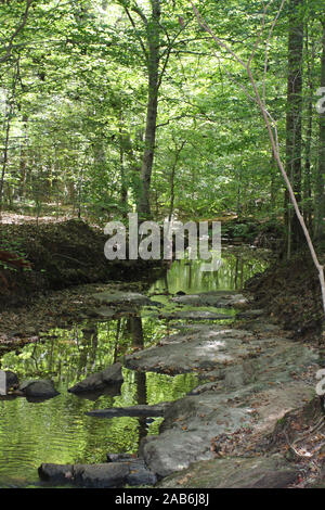 Un ruisseau en forêt sur le sentier en direction de la Sal William B. Umstead State Park, Raleigh (Caroline du Nord, USA Banque D'Images