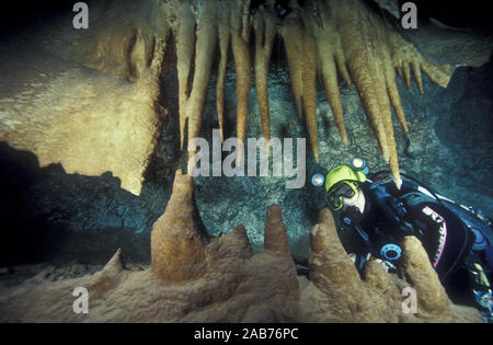 L'intérieur d'un plongeur-mâchoires comme formation, la Dent de Dragon Ledge, un line-up de stalactites et stalagmites dans la Grotte inondée McCavity. Wellingto Banque D'Images