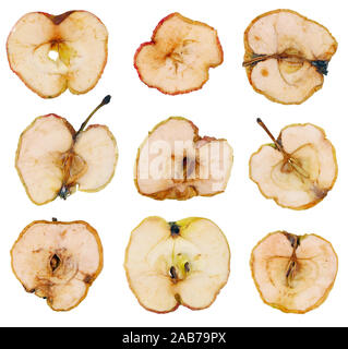 Set artisanal de Noël de tranches de pomme fruit . Isolé sur blanc macro studio Banque D'Images