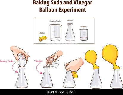 Vinegar-Balloon Experiment-Science et bicarbonate de soude Illustration de Vecteur