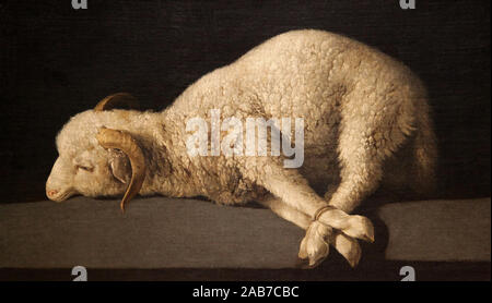 L'Agneau de Dieu L'Agneau mystique Agnus Dei (CA 1635-1640) de Francisco de Zurbarán. Surnommé Caravage espagnol. Agnus Dei. Banque D'Images