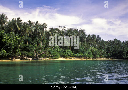 Islet, paradis tropical. La province de Madang, Papouasie Nouvelle Guinée Banque D'Images