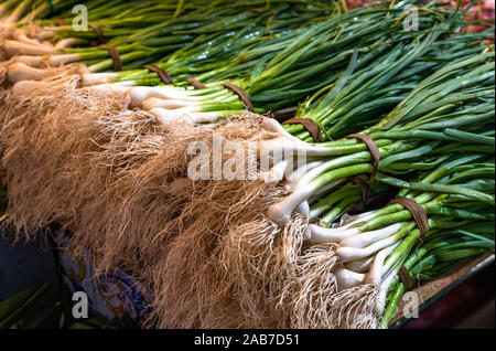 Échalotes ou oignons verts frais au marché de fermiers Banque D'Images