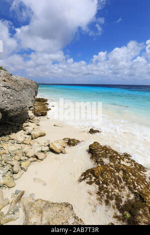 Belle côte dans le nord de l'île de Bonaire dans la mer des Caraïbes Banque D'Images