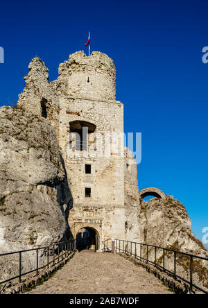 Château d'Ogrodzieniec Podzamcze, sentier, des nids d'Aigles, Krakow-Czestochowa Upland (Jura polonais), Voïvodie de Silésie, Pologne, Europe Banque D'Images