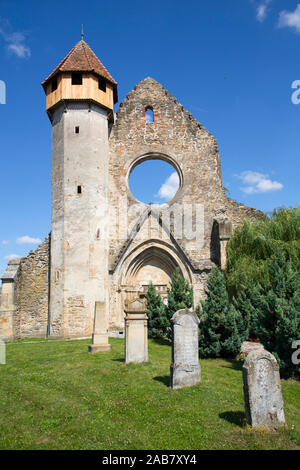 Ruines, monastère cistercien, fondé 1202, Carta, Sibiu County, région de Transylvanie, Roumanie, Europe Banque D'Images