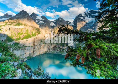 Arbres et des pommes de pin l'Oeschinensee chalets lac au coucher du soleil, dans l'Oberland bernois, Kandersteg, Canton de Berne, Suisse, Europe Banque D'Images