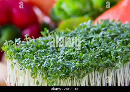 Cress peppergrass et légumes close up Banque D'Images