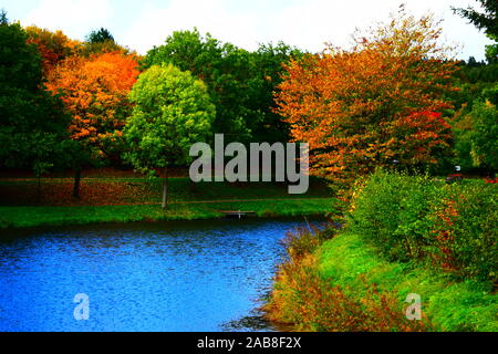 Heilbachsee réservoir dans Gunderath, Eifel Banque D'Images