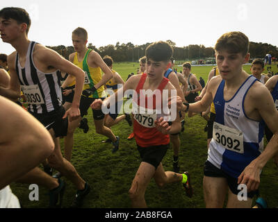 Cours de courte durée des ressortissants d'Europe de cross-country, à Kirkcaldy, en Écosse, le 9 novembre 2019. Banque D'Images