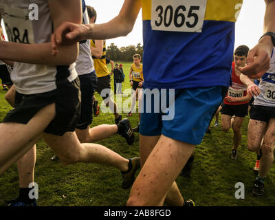 Cours de courte durée des ressortissants d'Europe de cross-country, à Kirkcaldy, en Écosse, le 9 novembre 2019. Banque D'Images