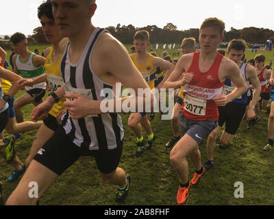 Cours de courte durée des ressortissants d'Europe de cross-country, à Kirkcaldy, en Écosse, le 9 novembre 2019. Banque D'Images