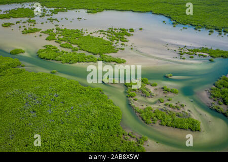Sénégal les mangroves. Vue aérienne de la forêt de mangrove dans le Parc National du Delta du Saloum, Joal Fadiout, au Sénégal. Photo faite par drone depuis au-dessus. Na Afrique Banque D'Images