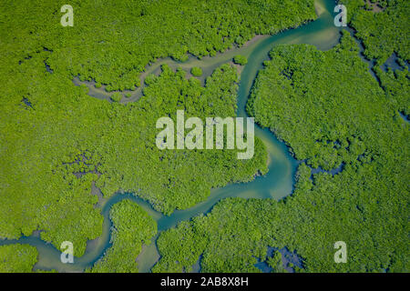 Sénégal les mangroves. Vue aérienne de la forêt de mangrove dans le Parc National du Delta du Saloum, Joal Fadiout, au Sénégal. Photo faite par drone depuis au-dessus. Na Afrique Banque D'Images