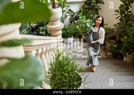 Jeune femme en tant que plantes fleuriste offre comme décoration à la restauration pour mariage Banque D'Images