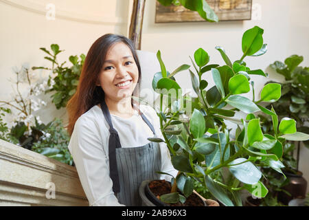 Jeune fleuriste offre une plante verte pour la décoration lors d'un événement Banque D'Images