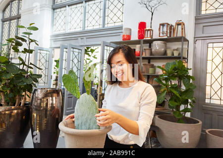 Un fleuriste qui s'occupent d'un cactus comme une plante d'intérieur dans le centre de jardin Banque D'Images