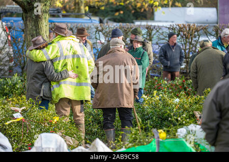 Tenbury Wells, Royaume-Uni. 26 Nov, 2019. En dépit de la météo humide et sombre, rien n'atténue l'esprit de ces acheteurs britanniques comme ils s'en vont vers la ville de Worcestershire Tenbury Wells pour la vente aux enchères annuelle de Gui et houx. Avec les agriculteurs et les producteurs britanniques offrant un tel choix ahurissant de fraîchement coupées, berry-laden beaucoup pour cet événement, les acheteurs de voyager loin pour obtenir le meilleur du feuillage de fête pour leur entreprise" compte à rebours jusqu'à Noël. Les détaillants attendent patiemment à l'extérieur (dans un moment de soleil !) prêt à enchérir sur leur choix de verdure. Credit : Lee Hudson/Alamy Live News Banque D'Images