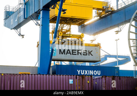 Duisburg, Ruhr, Rhénanie du Nord-Westphalie, Allemagne - Maersk Container, Yuxinou train, le récipient de Chine dans le port de Duisburg, le fret trai Banque D'Images