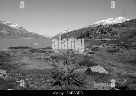 Le train Bernina durs sur les Alpes Suisses dans l'Bernina-Hospitz d'Oberengadin Pontresina via à l'Alp Grüm et se termine à Tirano (Italie). Banque D'Images