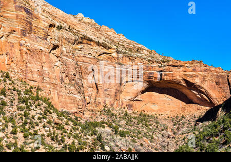 La Grande Arche à Zion National Park Banque D'Images