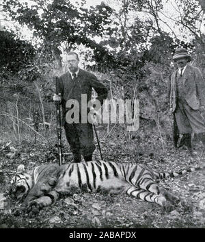 Portrait en demi-teinte de Son Altesse le Prince de Galles (futur George V) avec un tigre tourné près d'Hyderabad sur sa visite officielle en Inde en 1906. Banque D'Images